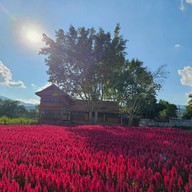 บรรยากาศ Six Flowers Garden