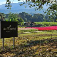 บรรยากาศ Six Flowers Garden