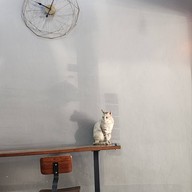 Koi Cafe Donmuang หมู่บ้านธนินทร