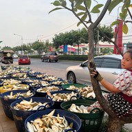ทุเรียน ลาดกระบัง 2020