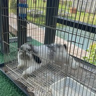 Green Day’s Cafe กรีนเดย์ คาเฟ่ บางแสน ชลบุรี