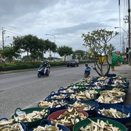 ทุเรียน ลาดกระบัง 2020