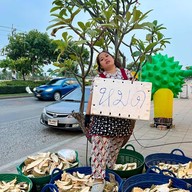 ทุเรียน ลาดกระบัง 2020