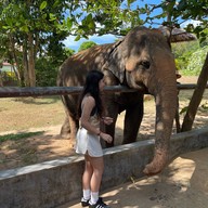 บรรยากาศ Samui Elephant Sanctuary Bophut