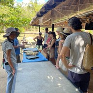 บรรยากาศ Samui Elephant Sanctuary Bophut