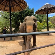 บรรยากาศ Samui Elephant Sanctuary Bophut