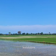 บรรยากาศ Banploy cafe' ราชบุรี