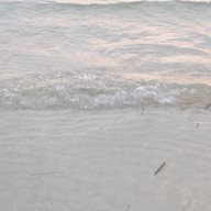 เกาะกูด