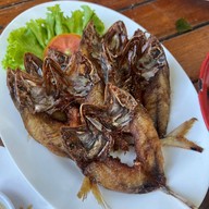 ร้านเปรี้ยวปาก