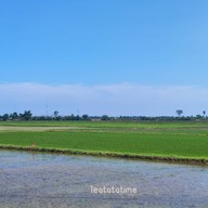 บรรยากาศ Banploy cafe' ราชบุรี