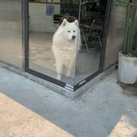 Joint.s cafe