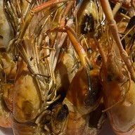 SEAFOOD ทะเลทอด