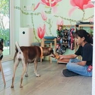 Jungle De Woof Cafe