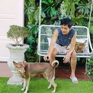 Jungle De Woof Cafe