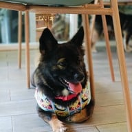 Jungle De Woof Cafe