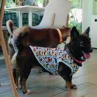 Jungle De Woof Cafe