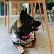 Jungle De Woof Cafe