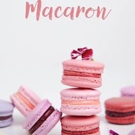 SCENT Specialty Coffee SCENT