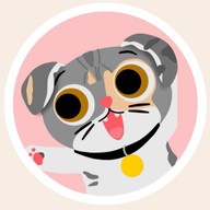 Sweet Cat Food ตลาดมีโชคพลาซ่า หน้าธนาคารกสิกรไทย