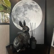 MOON’S DAY นาคนิวาศ