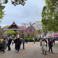 บรรยากาศ Ueno Park