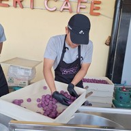 Gamiyuii Purple Sweets Potatoes ต้นสัก