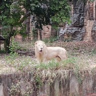 บรรยากาศ สวนน้ำสวนสัตว์ขอนแก่น