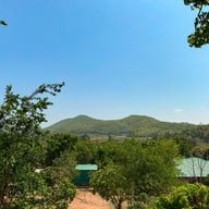 Green Hills coffee