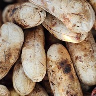 ครัวชบาแก้ว