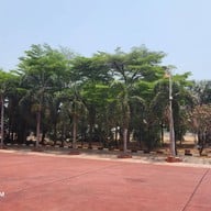 โกลเด้นดราก้อนรีสอร์ท