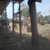 ภูนารายณ์