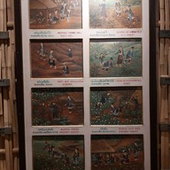 พิพิธภัณฑ์บ้านฝิ่น