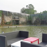บรรยากาศ Niagara N Garden