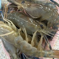 แม่น้ำหมูกะทะ พระราม5