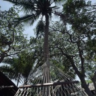 Sabai Sabai Beach Bangalow