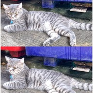 ร้านต้มเนื้อลุงโก้