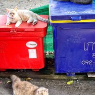 ร้านต้มเนื้อลุงโก้