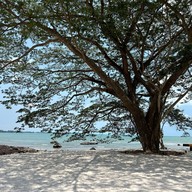 Bambu beach club