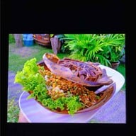 หอยป้ายแดง(กะทู้) Phuket