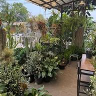 Rit Coffee House ศรีสองเมือง