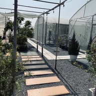 Baisom Farm & Cafe’(Bangpoo) -