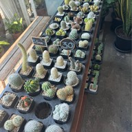 Rit Coffee House ศรีสองเมือง