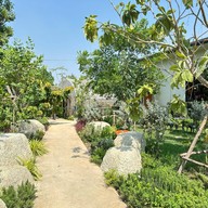Veg addic ลำลูกกา คลอง 8