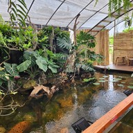 The Melon Cafe' Lopburi