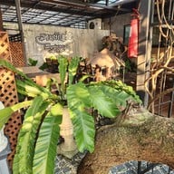 สวนผักแว่น Cafe & Bistro