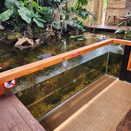 The Melon Cafe' Lopburi