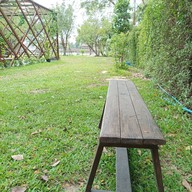 บรรยากาศ ปลาสาน