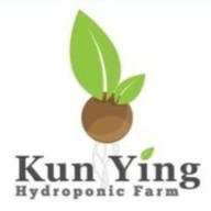 แม่หญิง โตเกียว