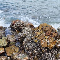 จุดชมวิวเขาสามมุข ชลบุรี