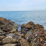 จุดชมวิวเขาสามมุข ชลบุรี